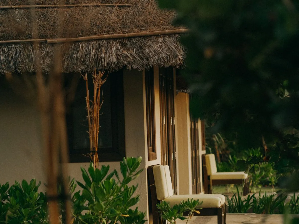 Eco-friendly cottage with a natural thatched roof surrounded by greenery