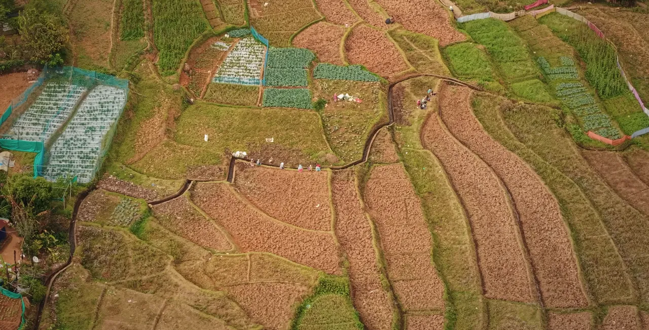 Aerial view of cultivated hillside plots in Kanthalloor