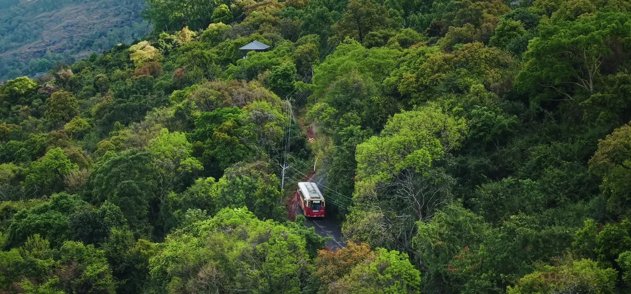 A local bus travelling through dense green forest