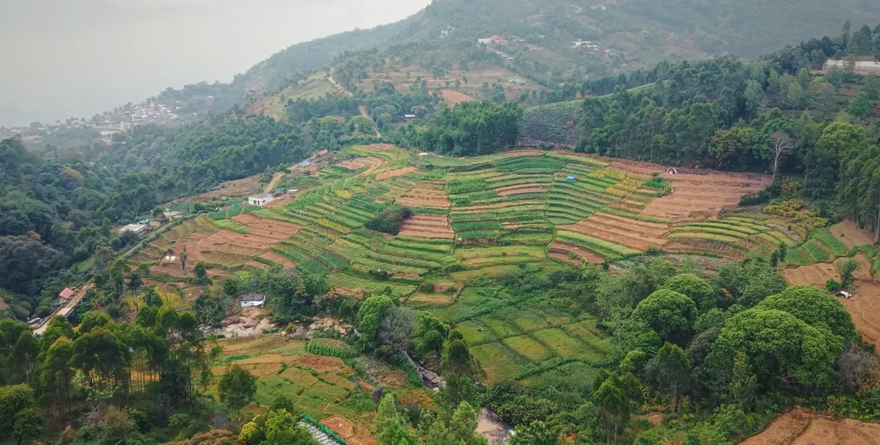 Terraced vegetable farms spread across the green Kanthalloor hills